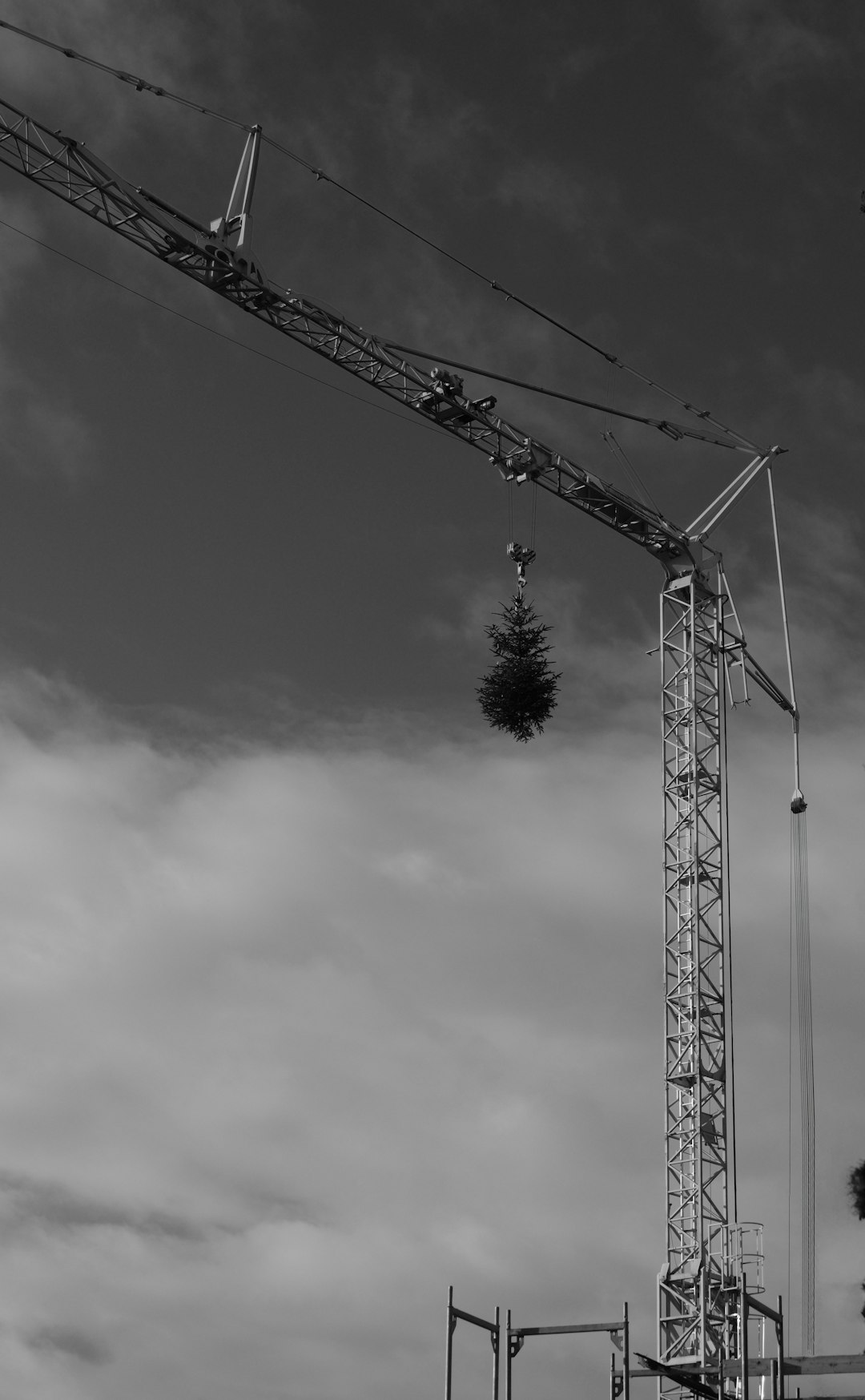grayscale photo of crane under cloudy sky