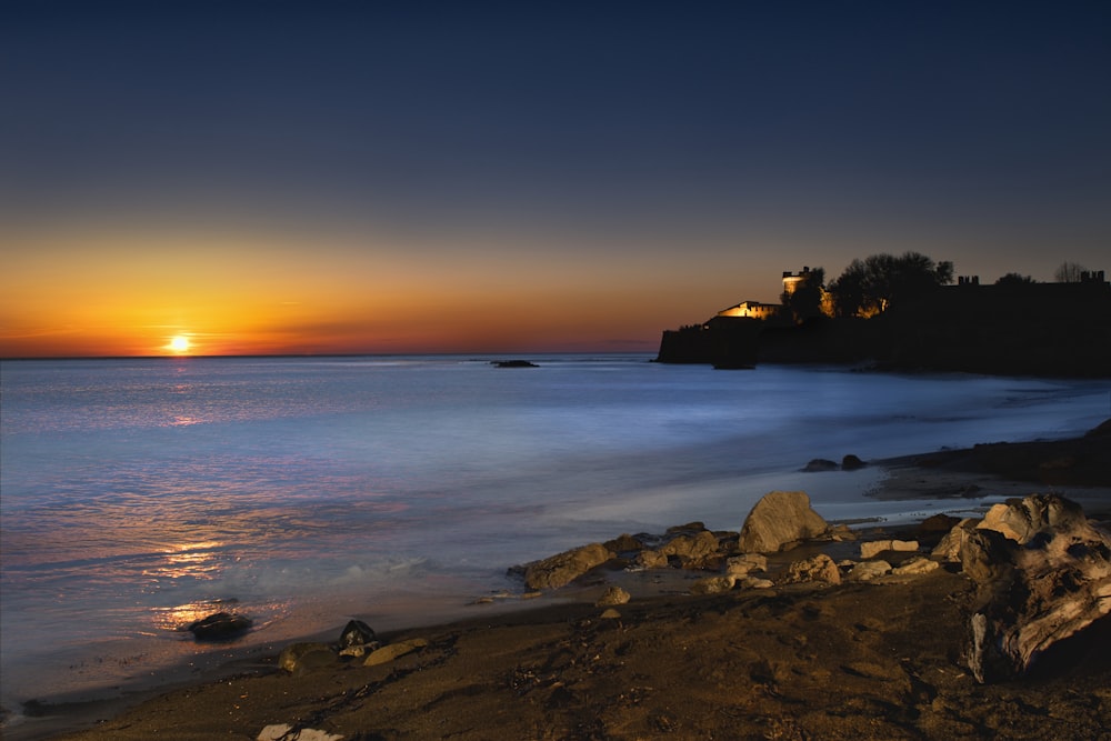 silhouette of trees on seashore during sunset