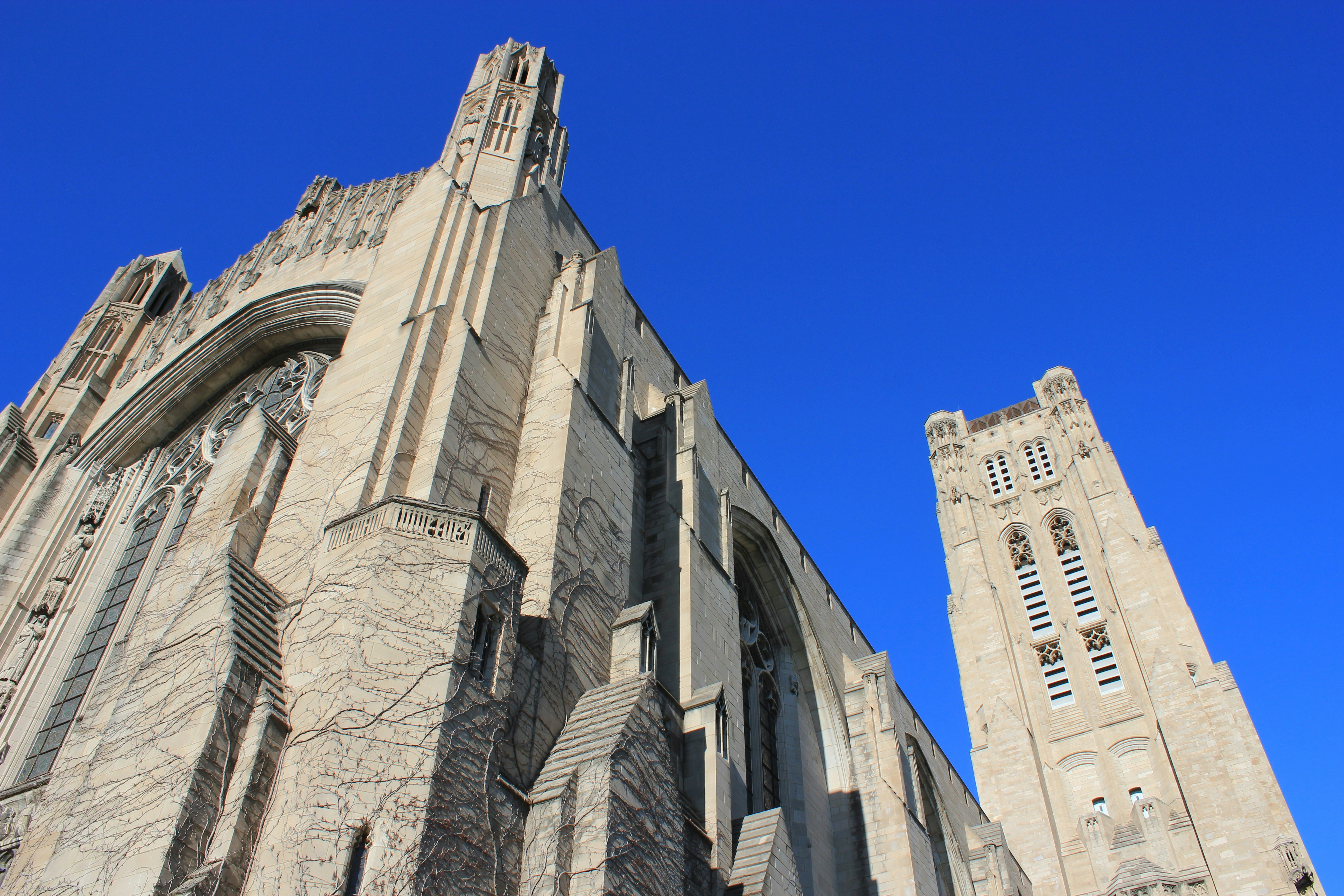 Photo by mrgreatheart