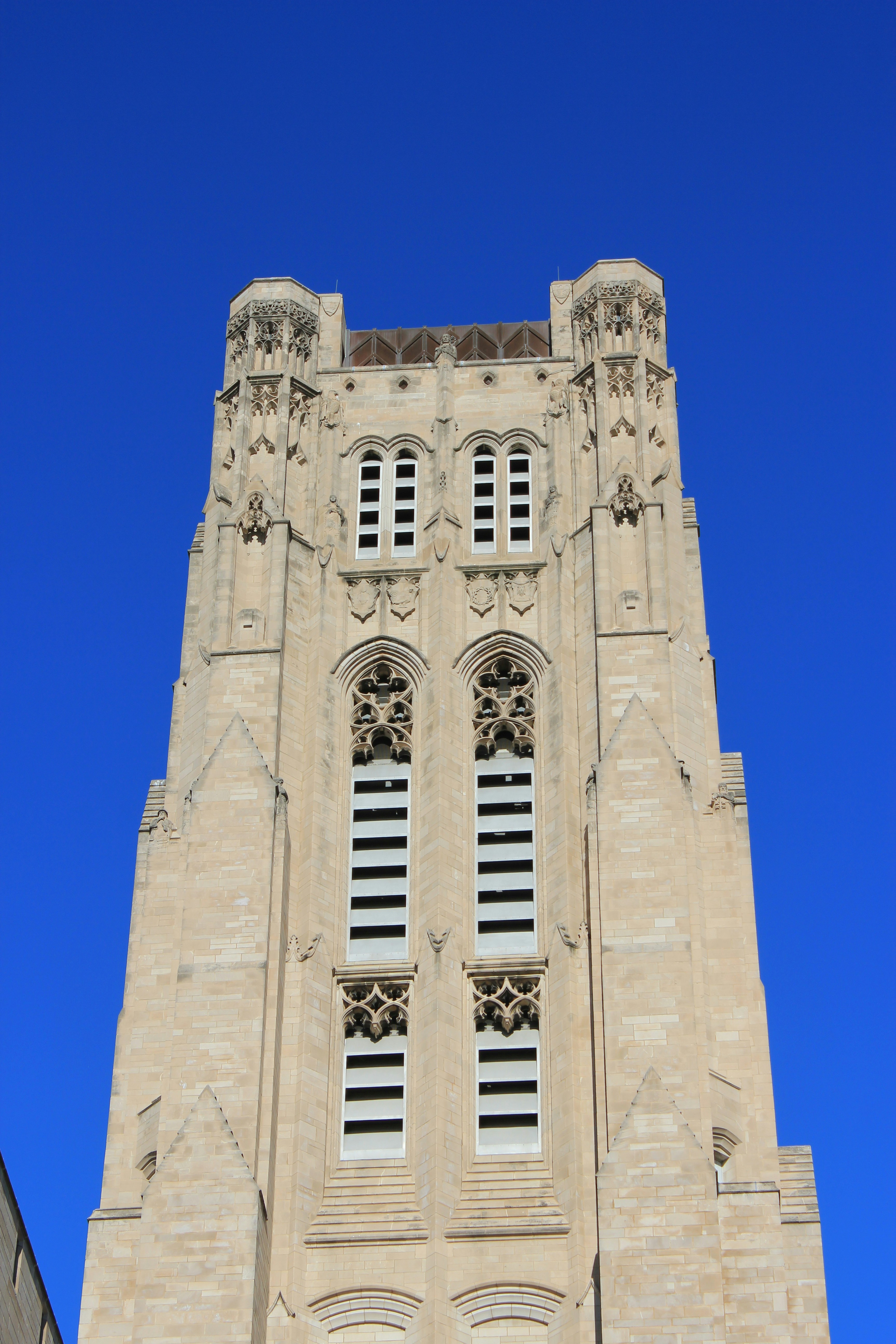 Photo by mrgreatheart