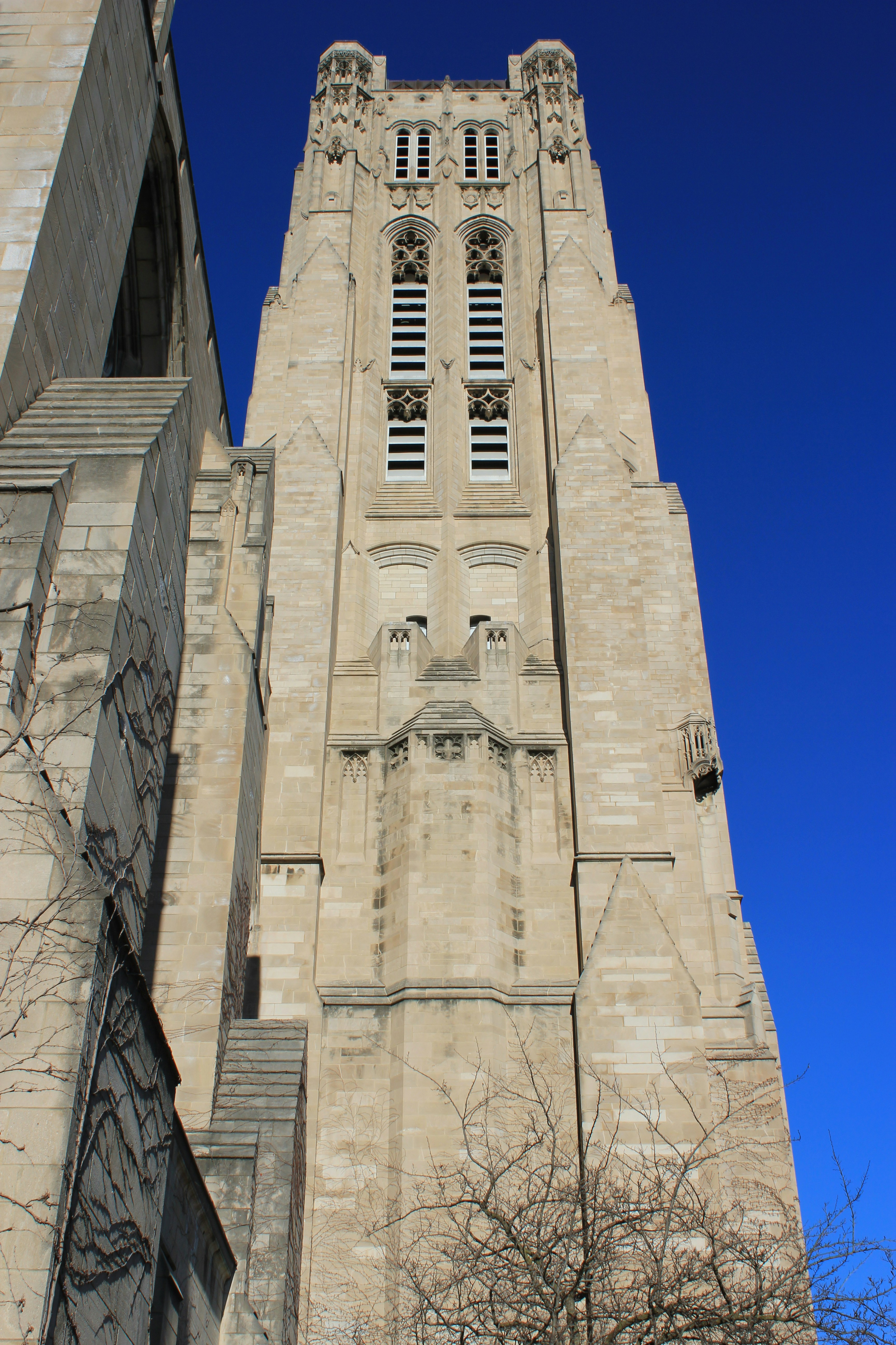 Photo by mrgreatheart