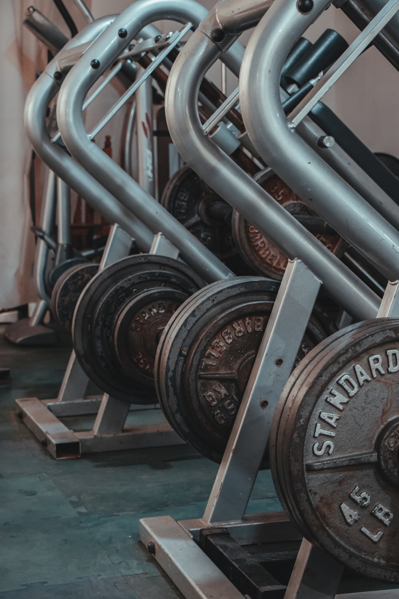 Manubri organizzati su rastrelliera in palestra
