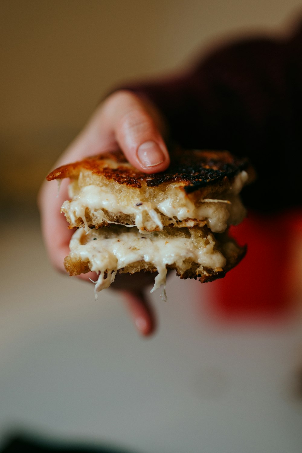 person holding brown and white bread