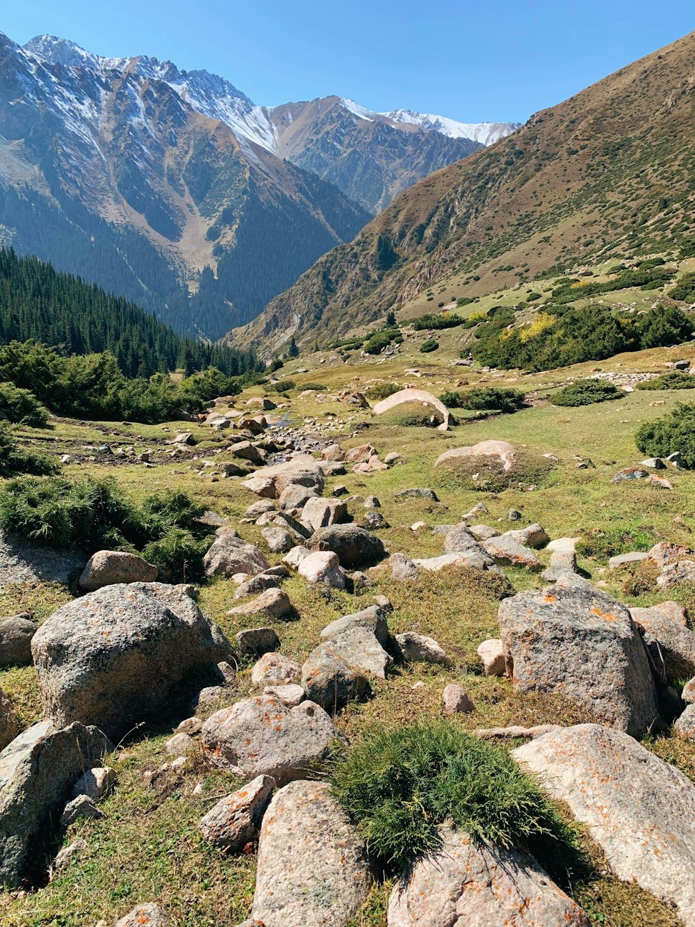 green grass field and brown mountain during daytime