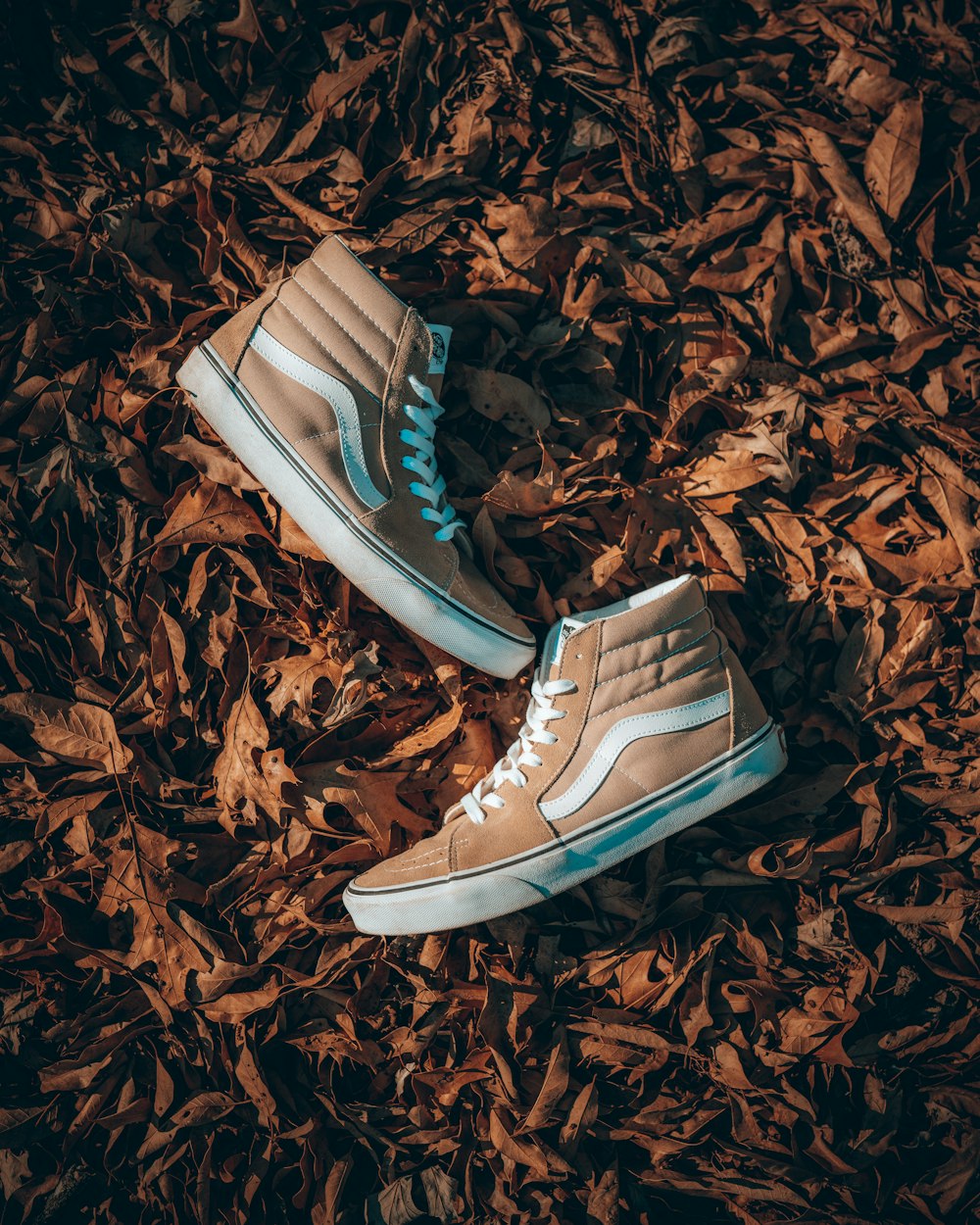 pair of blue and white nike sneakers on brown dried leaves