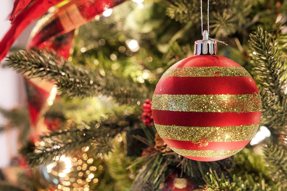 Bola roja y blanca que cuelga en el árbol de Navidad verde
