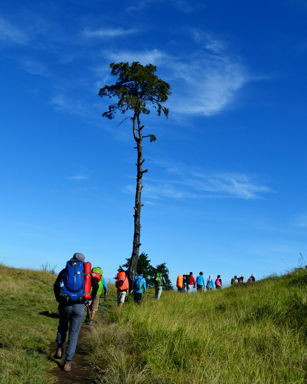 people walking on green grass field under blue sky during daytime