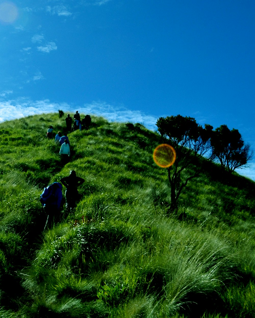 pessoas andando no campo de grama verde durante o dia