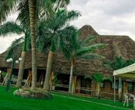 A thatched-roof building surrounded by tall palm trees in a lush green landscape. The structure has a rustic appearance, blending with nature. A small cluster of rocks and a lamp post with spherical lights are also visible, adding to the tranquil outdoor setting.