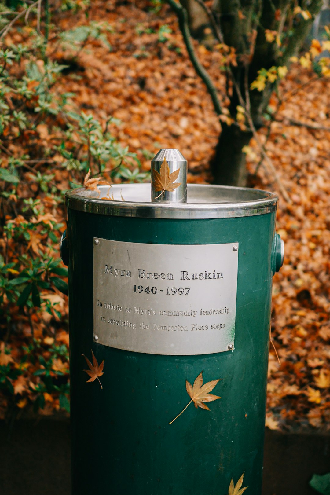 green and silver steel can