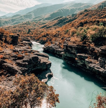 a river running through a lush green valley