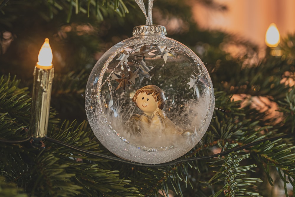 clear glass ball with white bird inside