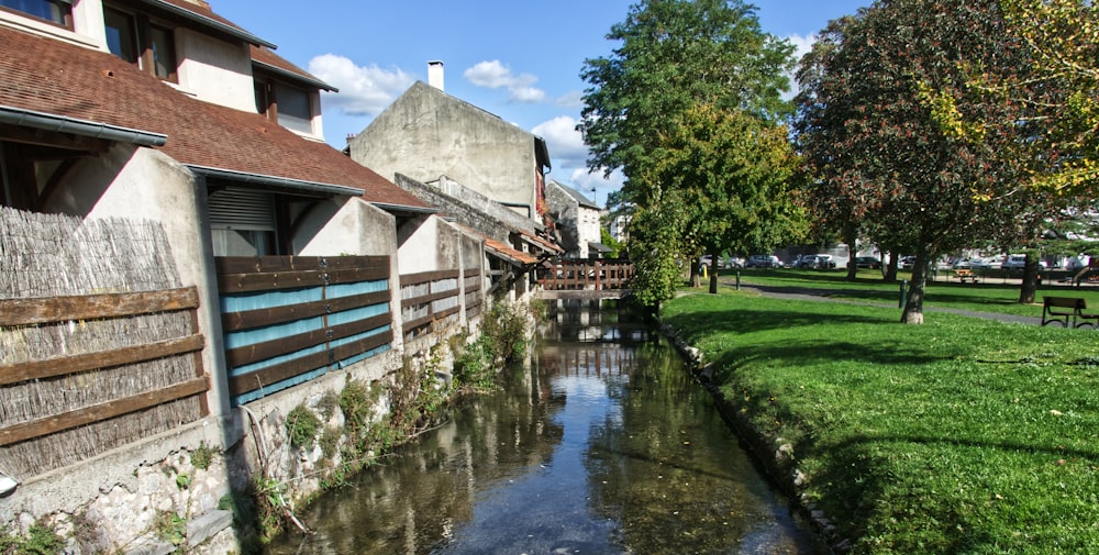 green trees beside river during daytime