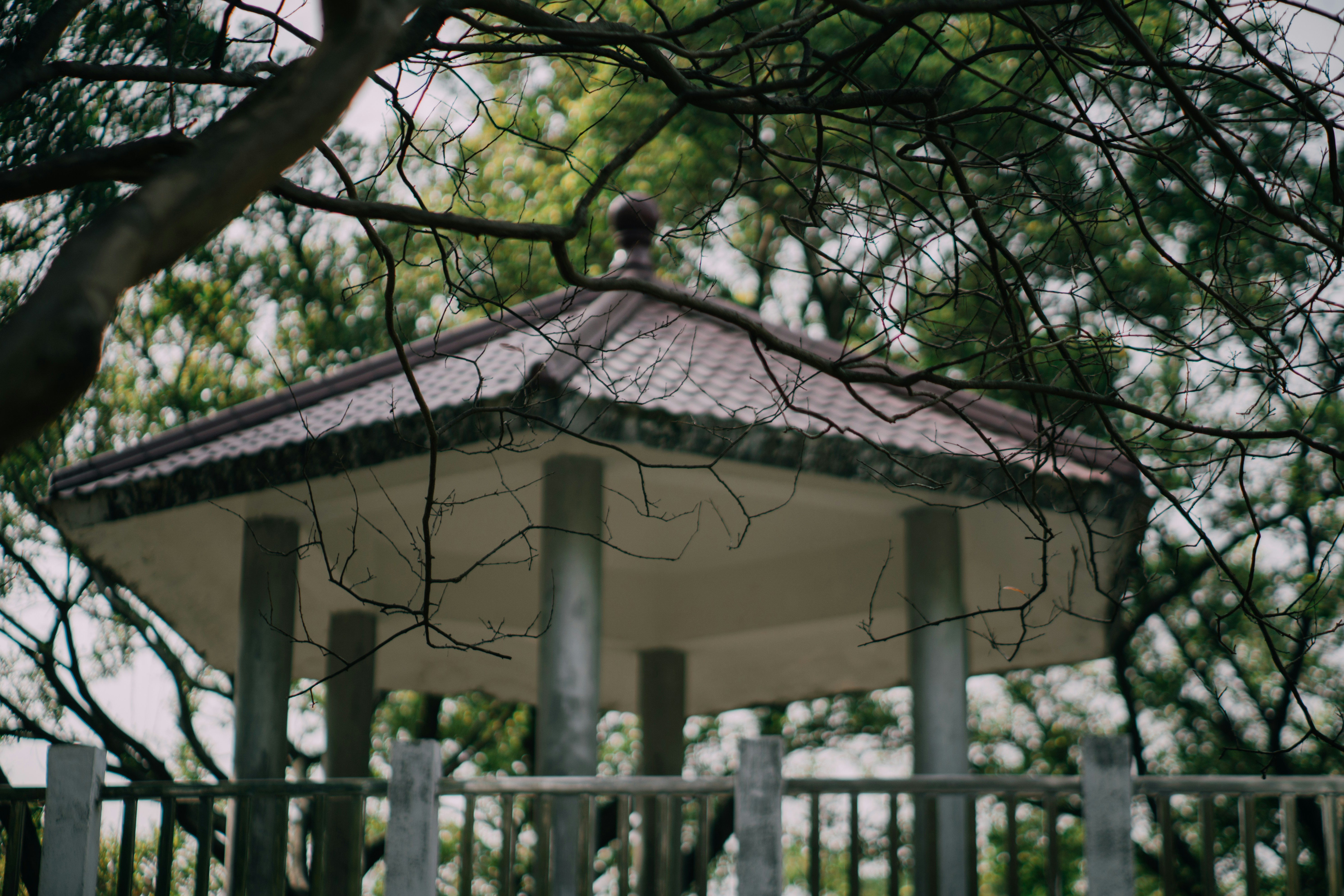 white concrete building near green tree during daytime