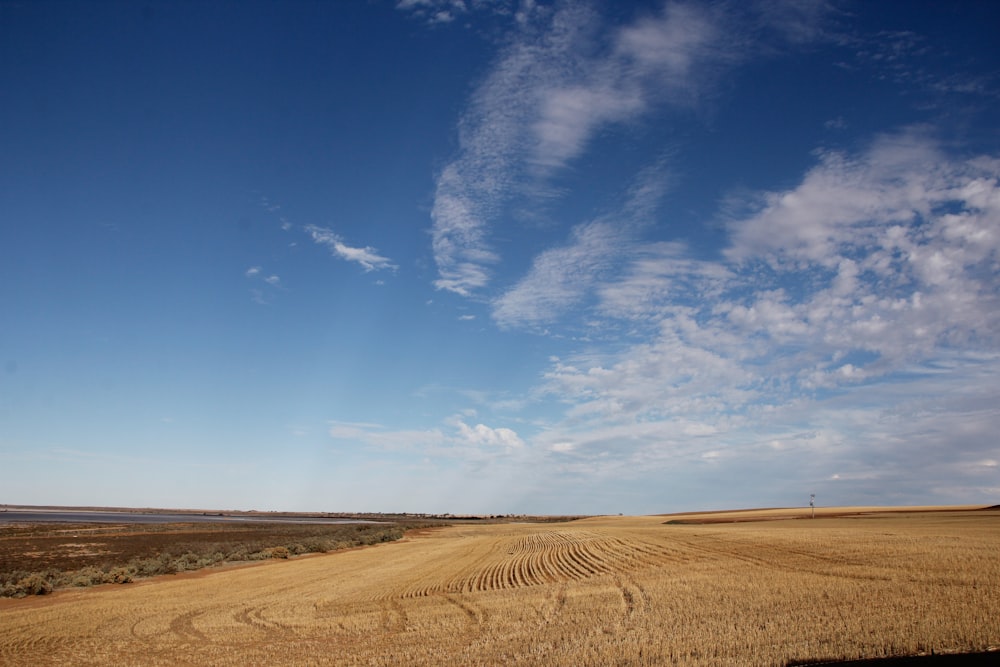 brown field under blue sky and white clouds during daytime