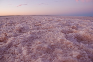 A vast expanse of pink salt crystals stretches out under a dusky sky. The surface is uneven and has a textured appearance, reminiscent of a frozen landscape. The horizon is barely visible in the distance, with soft hues of orange and pink coloring the sky.