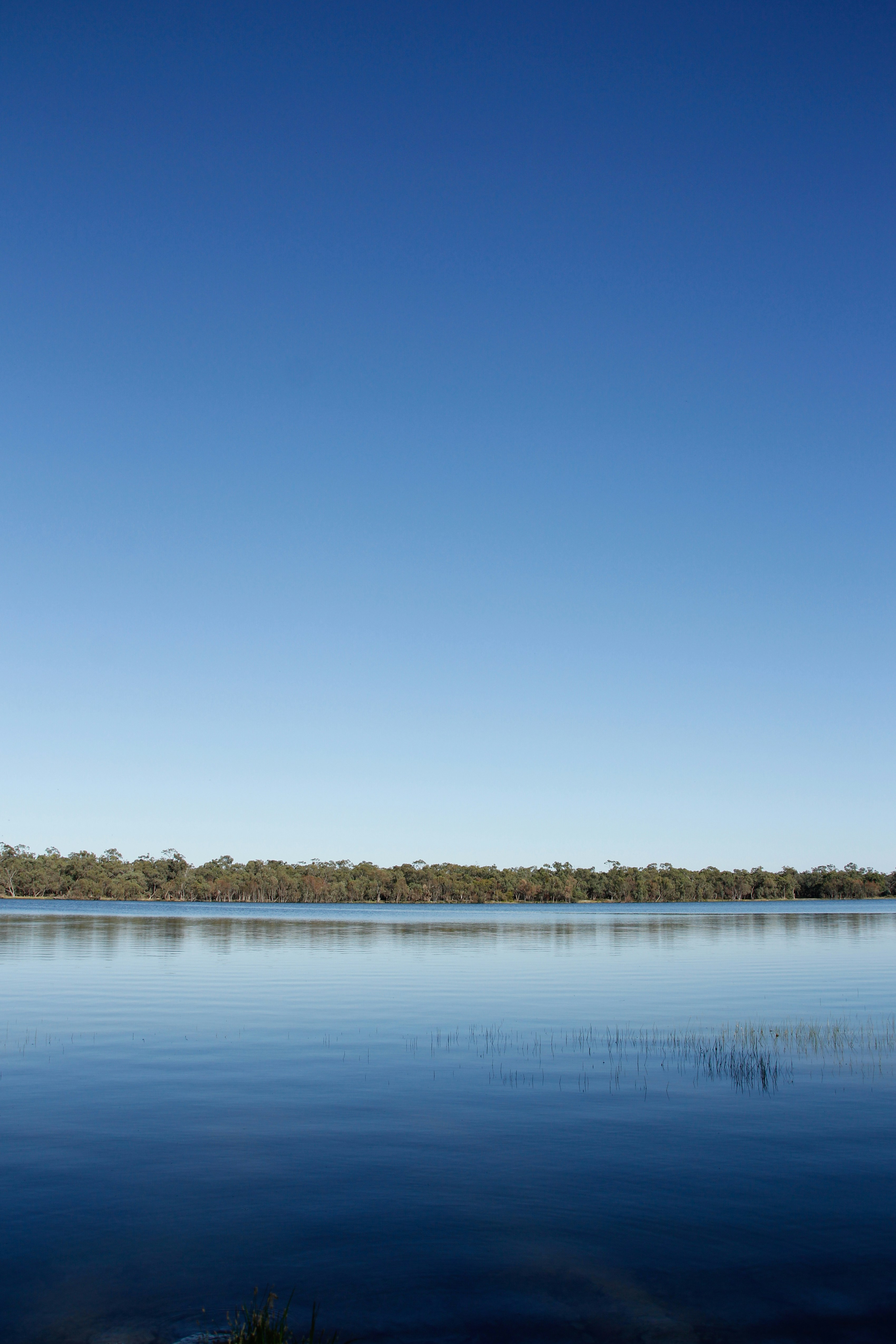 Photo by nao_takabayashi