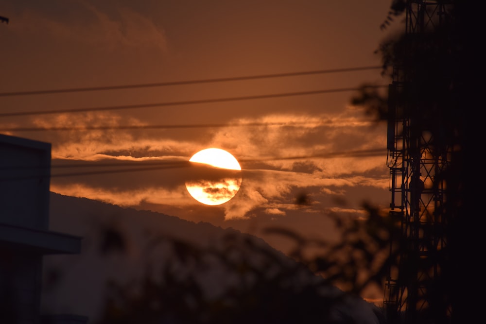 silhouette of trees during sunset