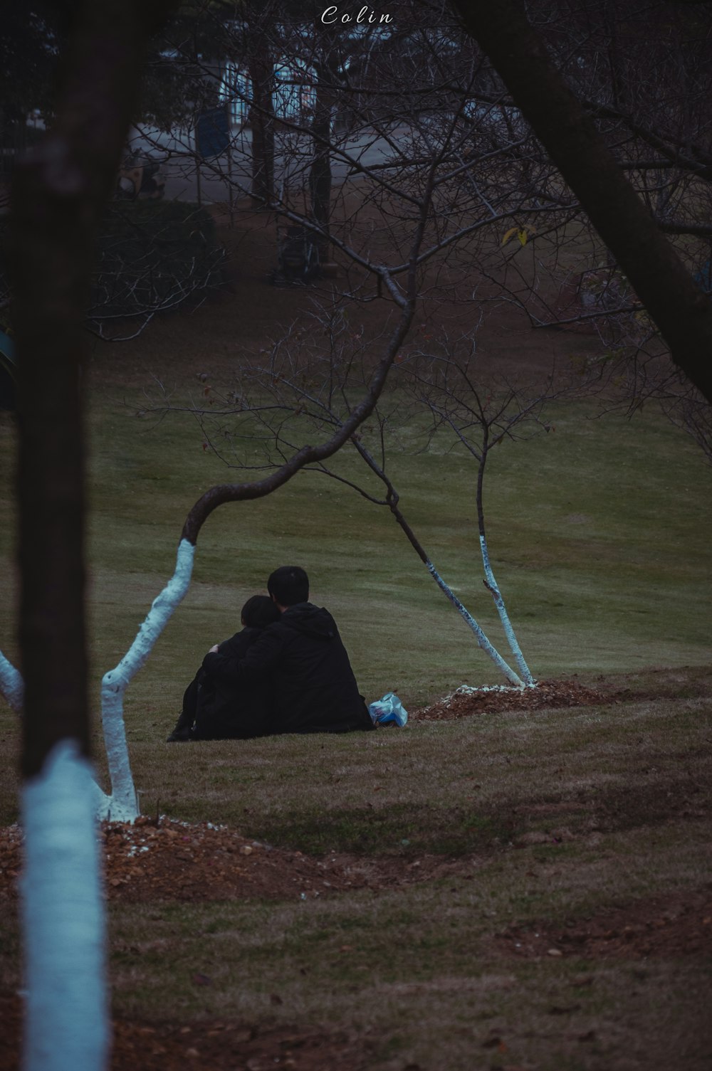 person sitting on ground near body of water during daytime