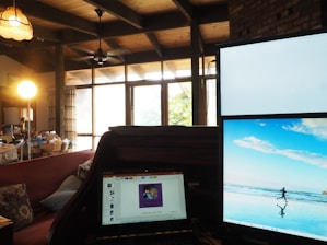 A consultant discussing energy efficiency with a homeowner in a modern living room.