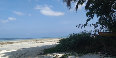 A tranquil beach scene in Florida with white sands and clear blue waters.