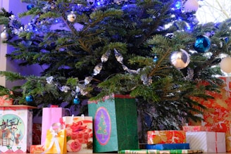 A Christmas tree decorated with lights and ornaments, with wrapped gifts wearing festive clothing nearby.