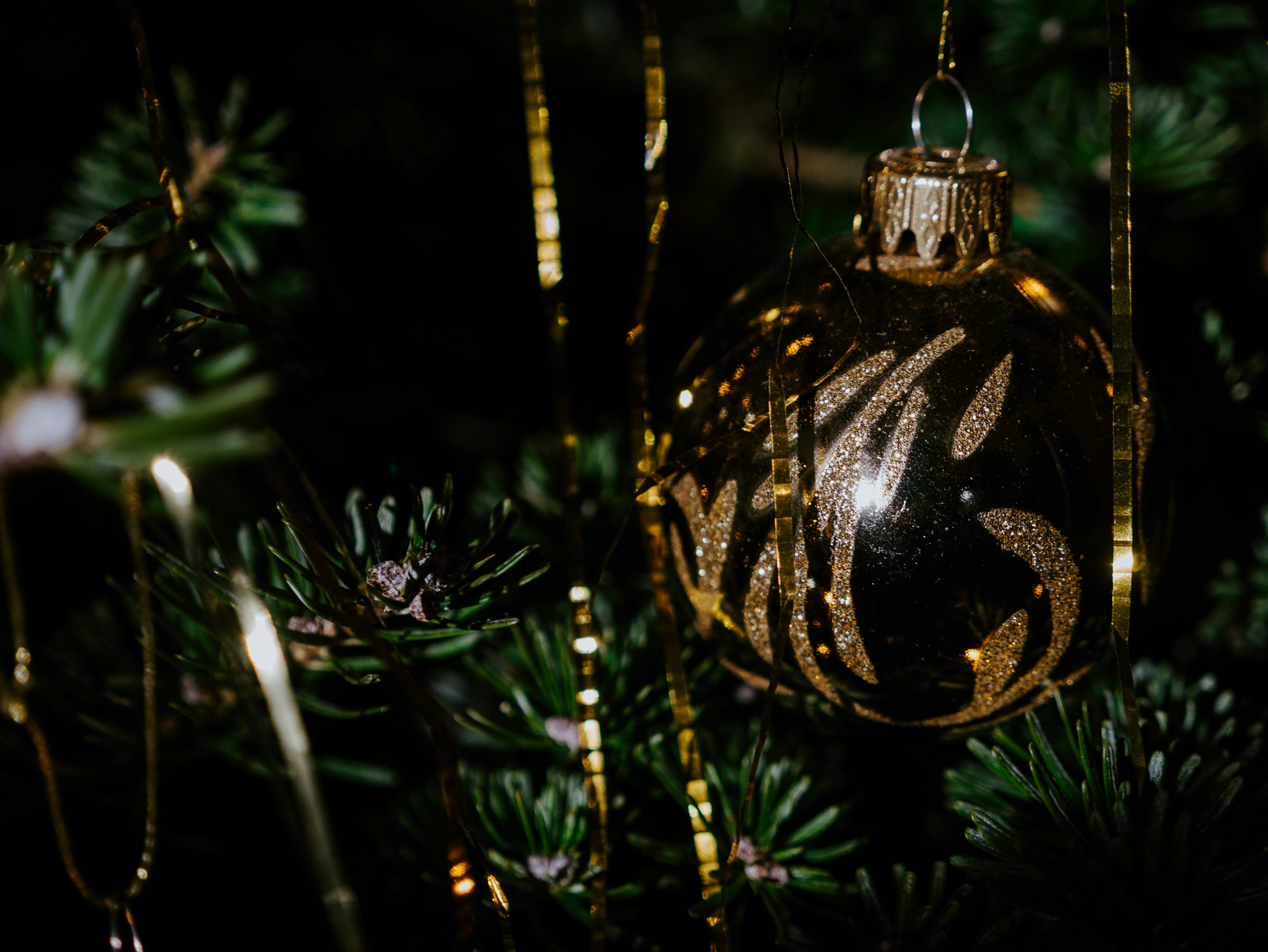 緑のクリスマス ツリーに金と黒の安物の宝石の写真 Unsplashの無料木写真