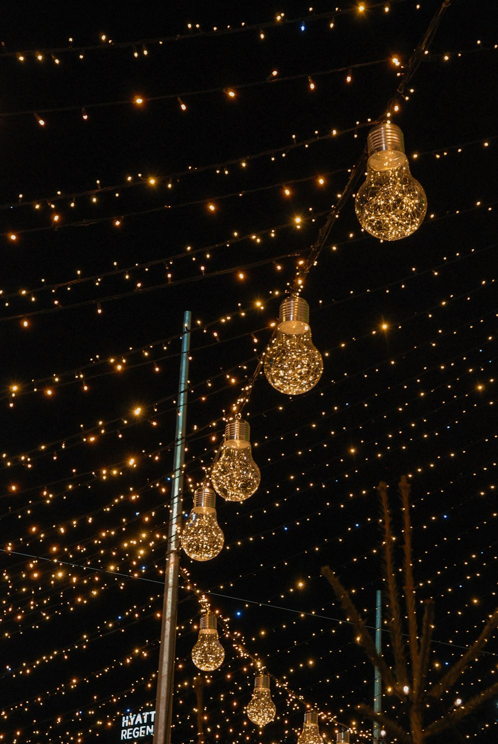 Lichterketten am Baum während der Nachtzeit