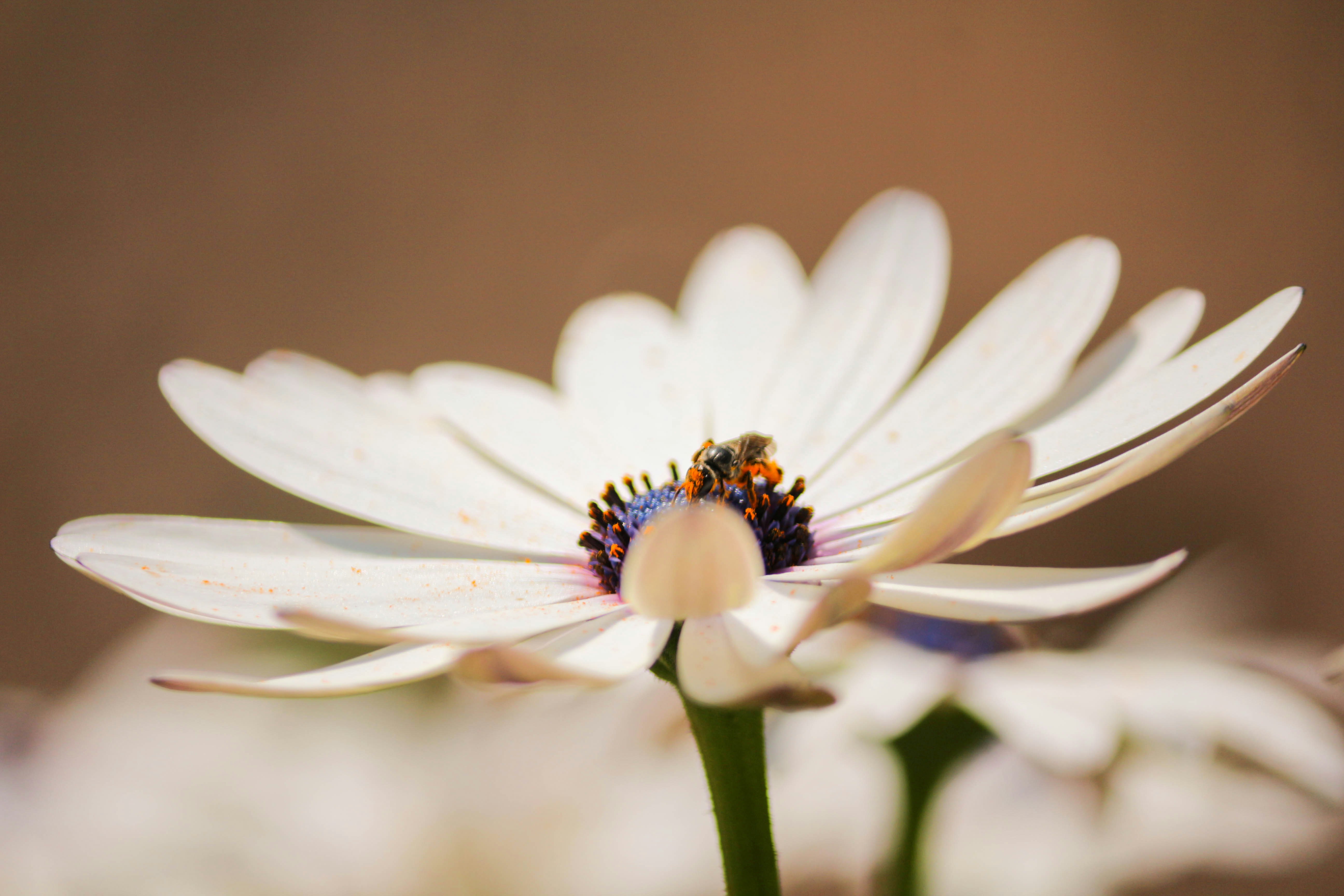 Photo by sunpreet_here