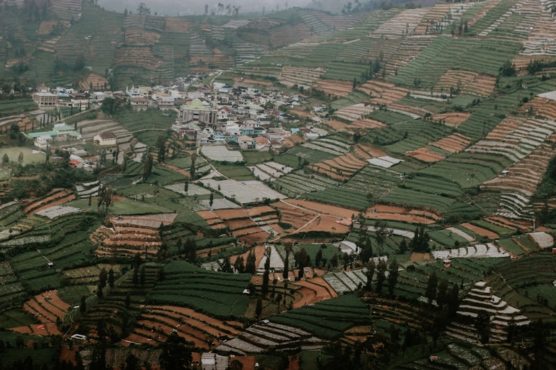 panorama negeri di atas awan saat wisata Dieng pagi hari