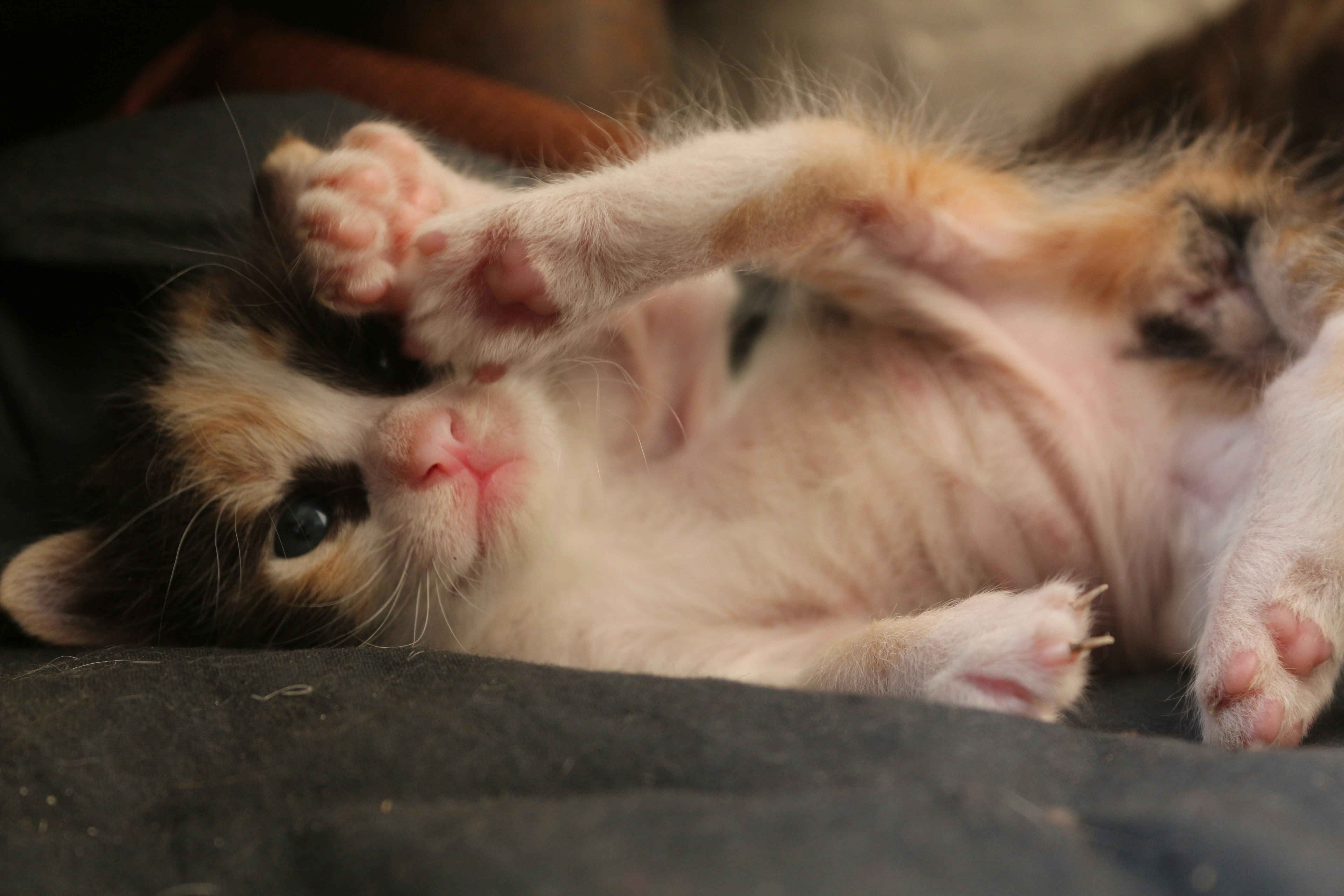 Photo by sunpreet_here