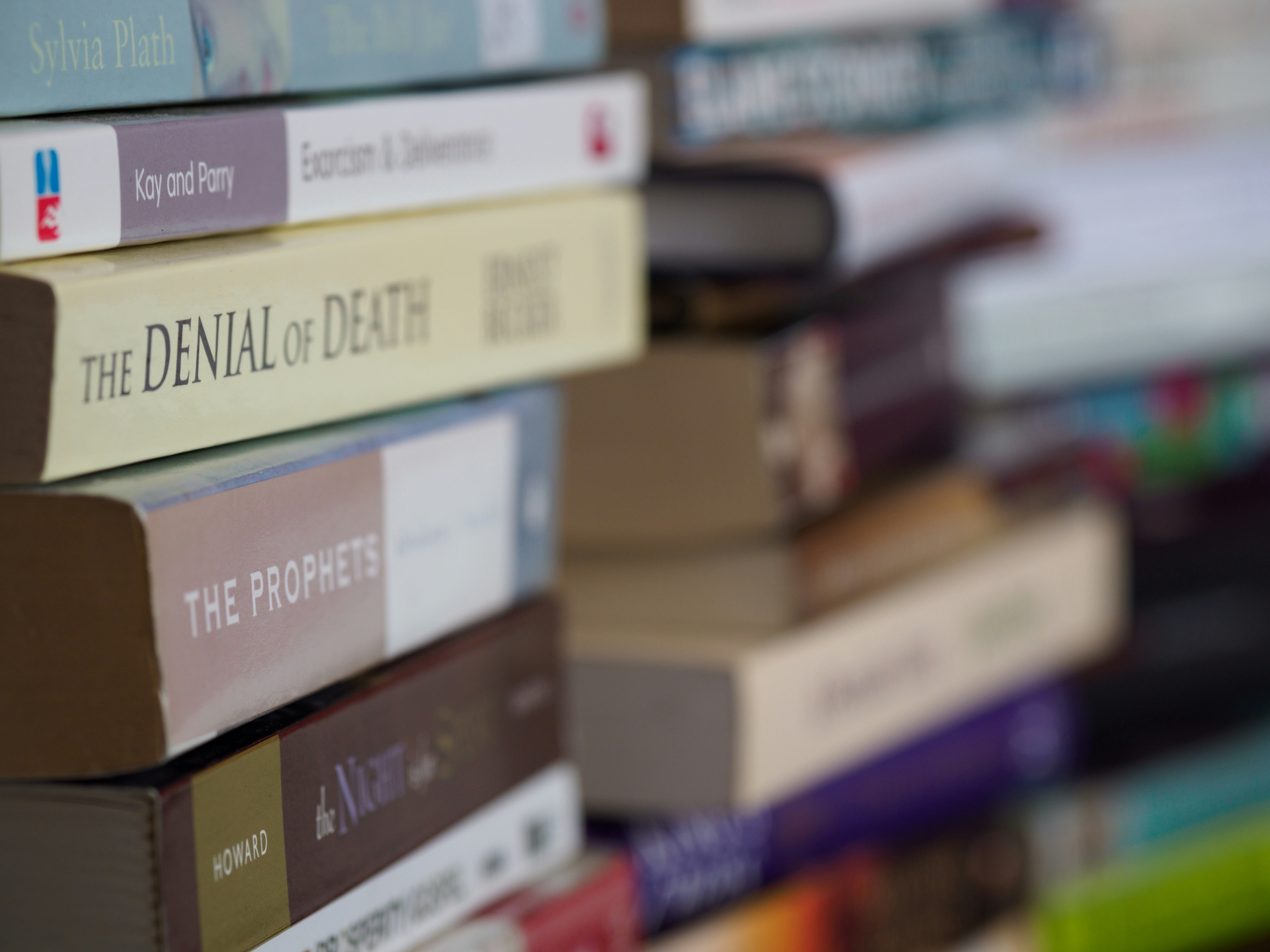 Photo by brett_jordan