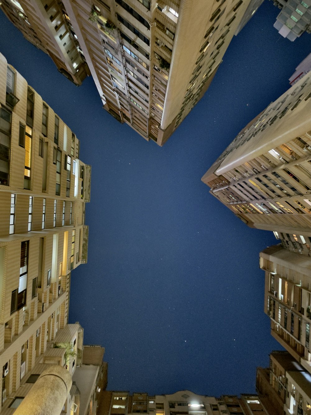 brown wooden shelves on blue wall