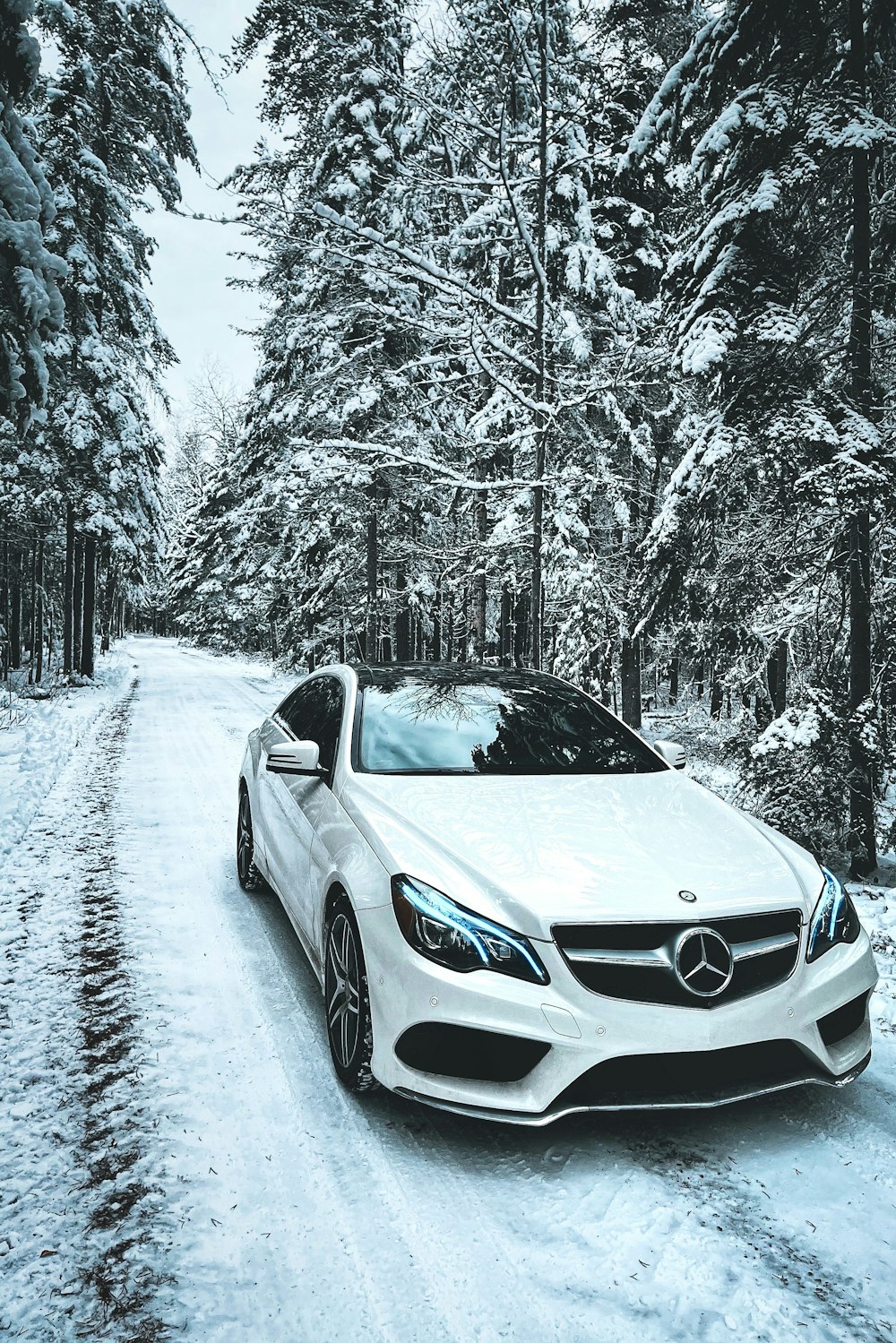 Foto en escala de grises de BMW Coupé en una carretera cubierta de nieve