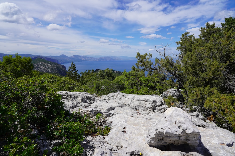 green trees on gray rocky mountain under blue sky during daytime