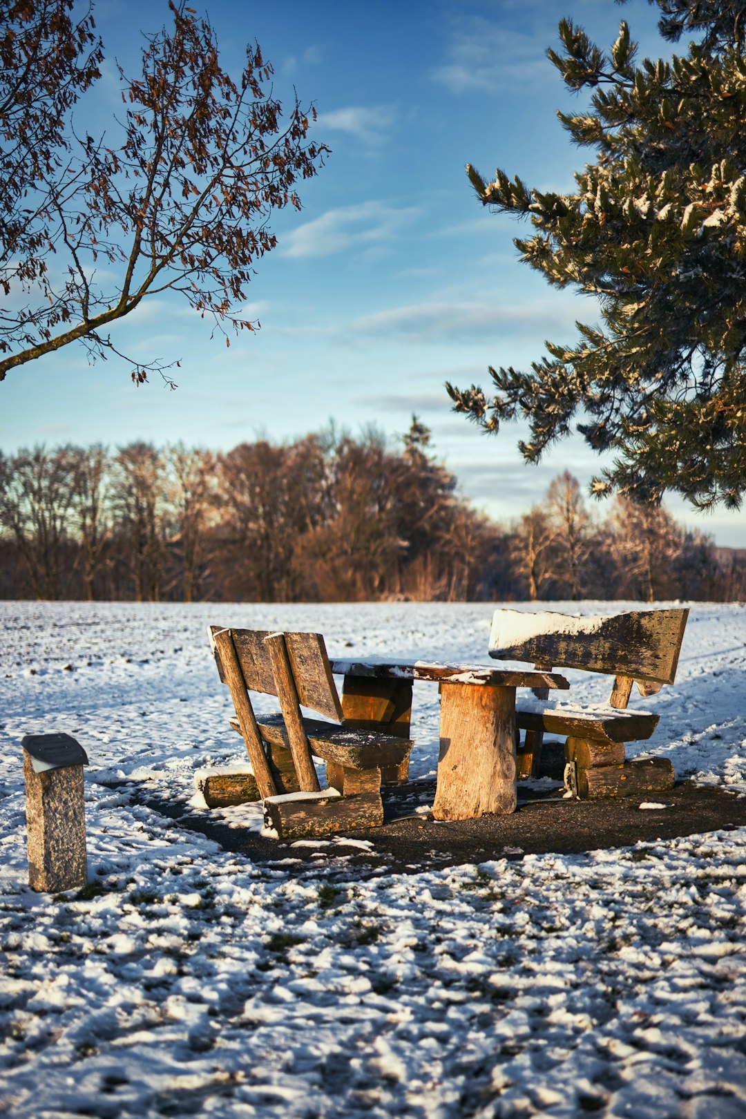 brown wooden bench on snow covered ground during daytime