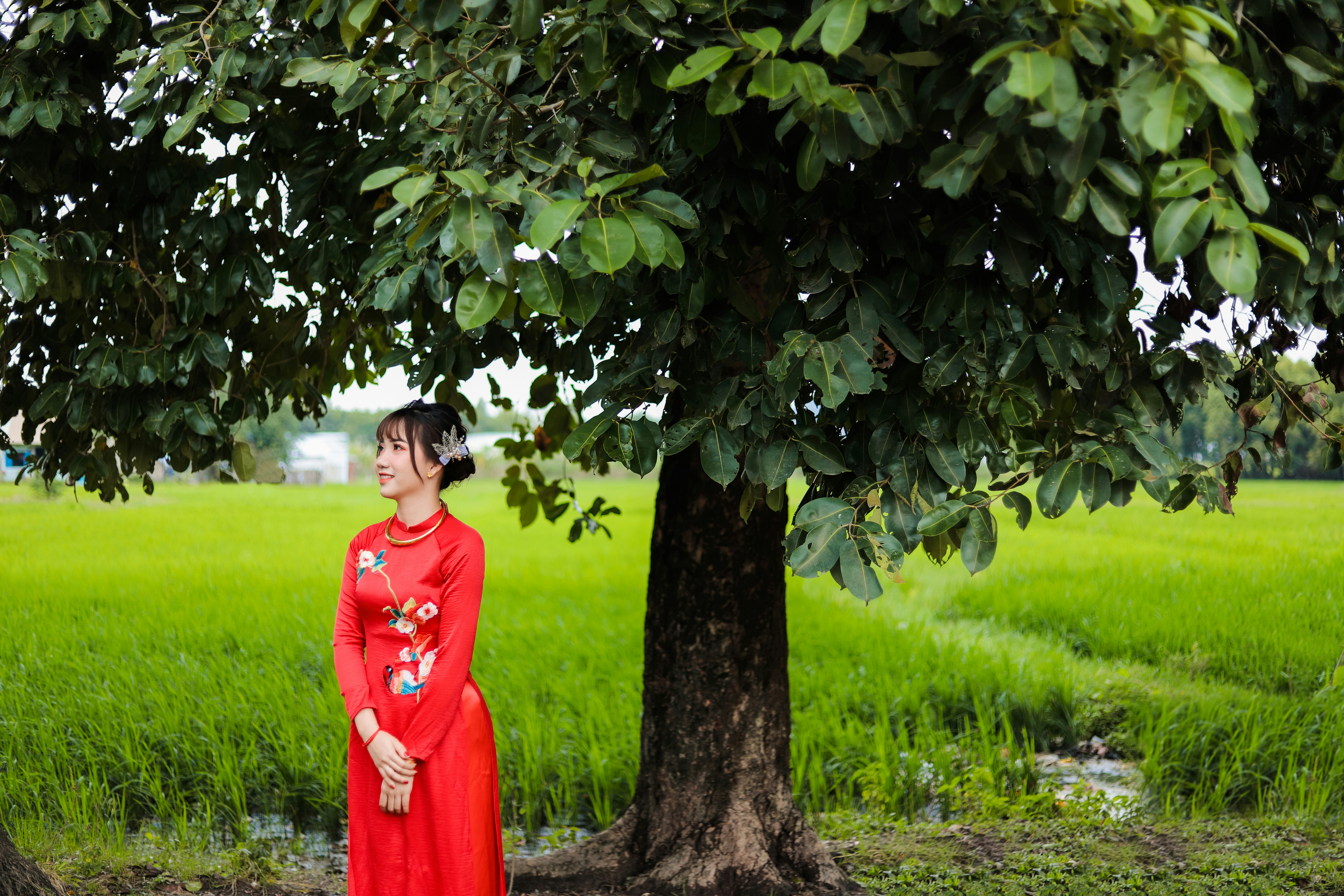 Đêm Vàng Dưa Hấu Ngọt Lị Những Bí Quyết Chọn Lựa Thông Minh