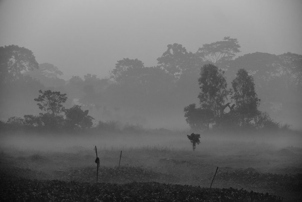 a black and white photo of a foggy field