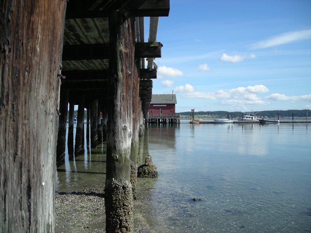 brown wooden dock on sea under blue sky during daytime