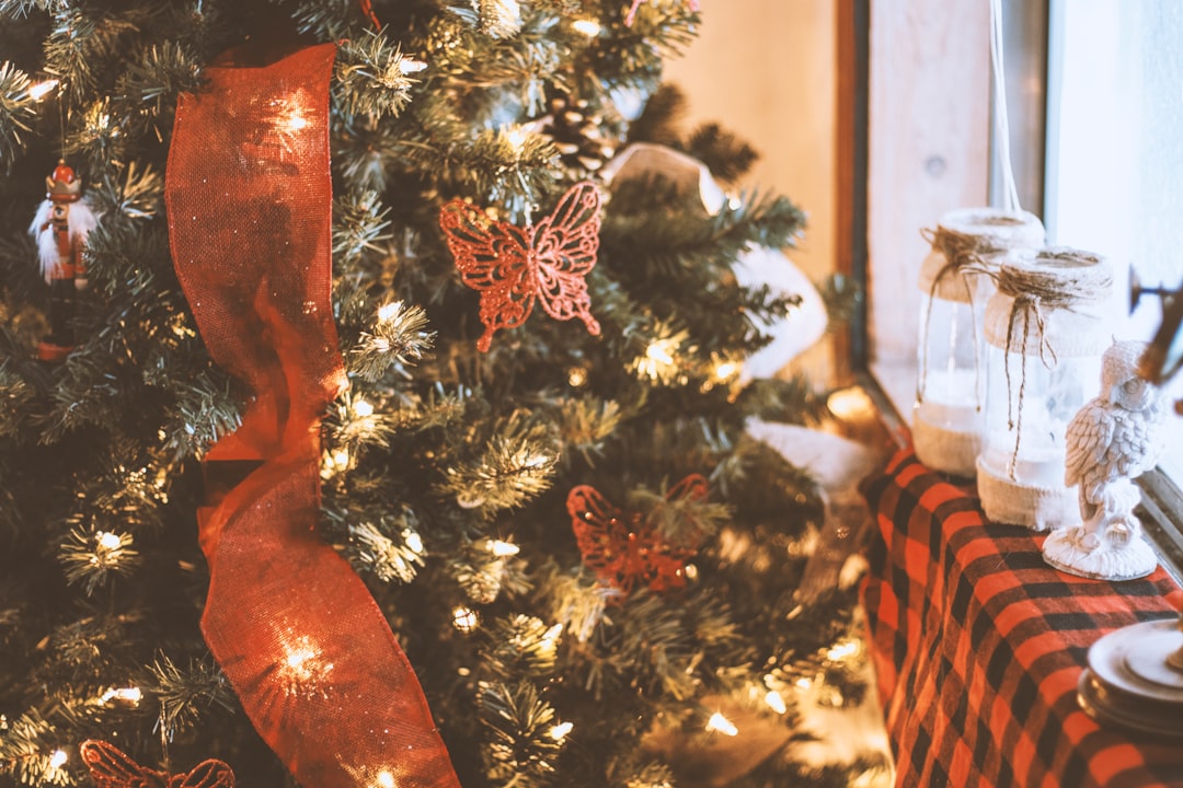 green christmas tree with string lights