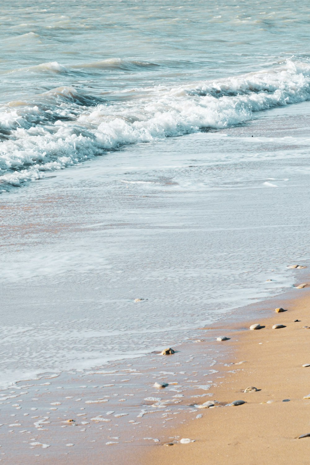 people on beach during daytime