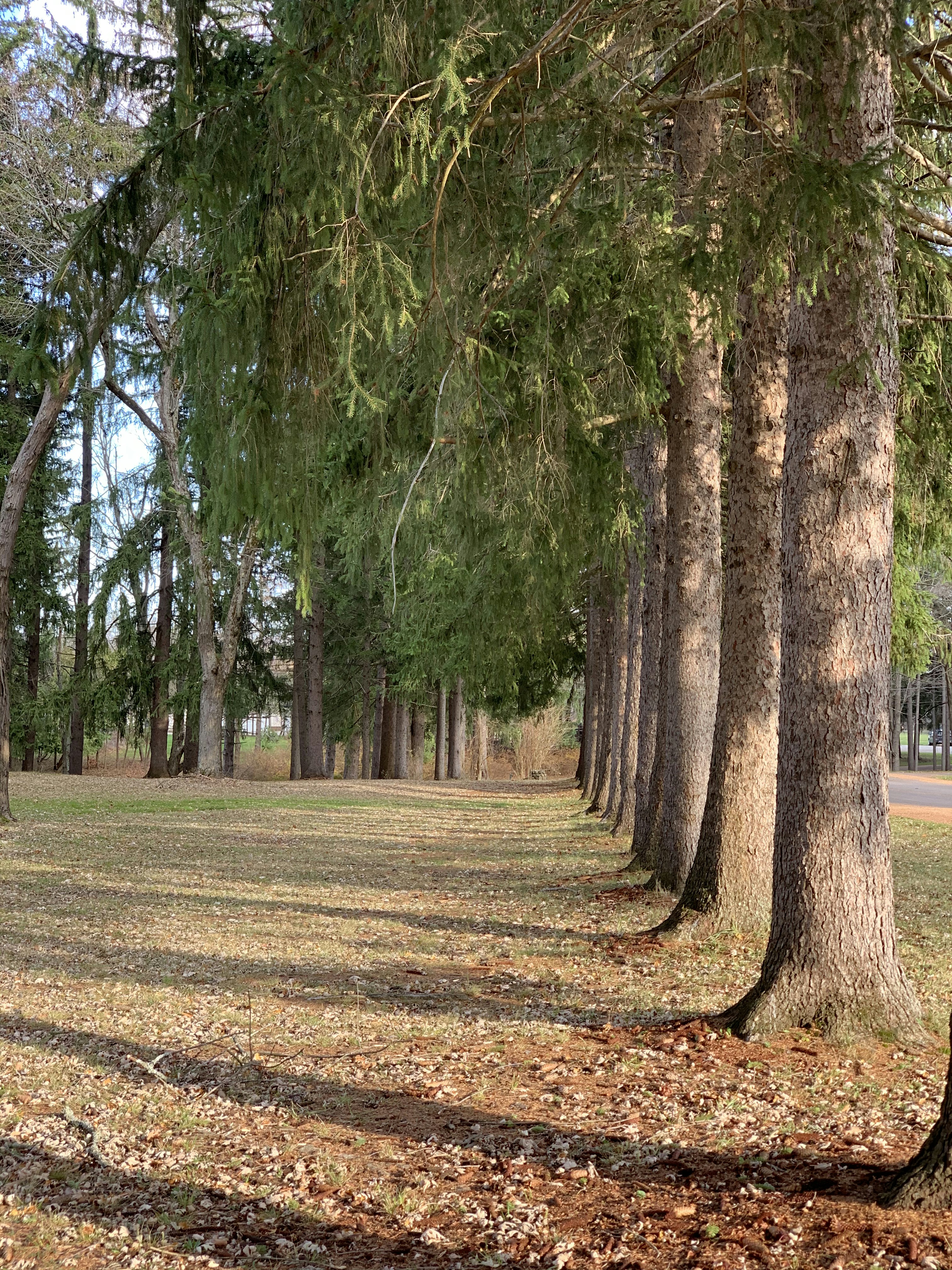 Photo by jlsmith9200