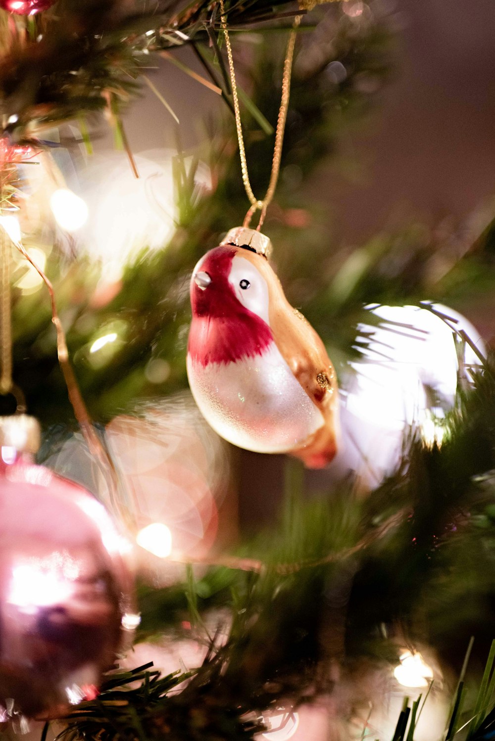 red and white bird on tree branch