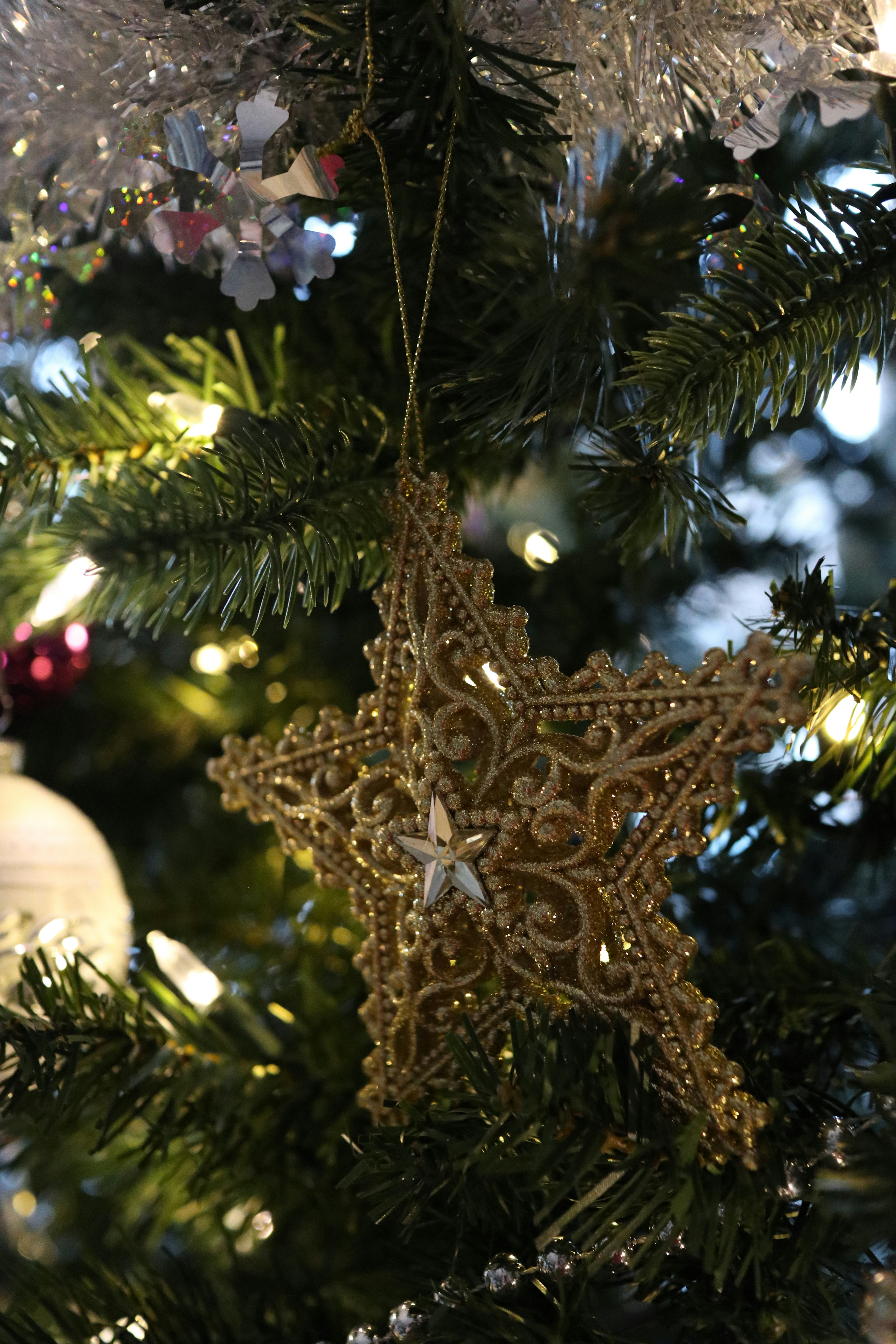 Photo by shayyyyyyyna