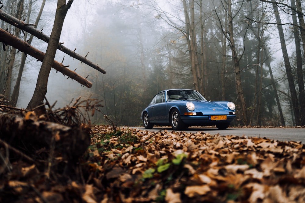 blue porsche 911 parked on brown dried leaves