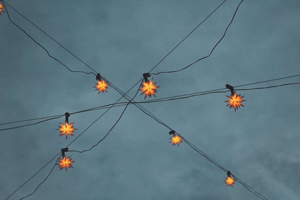 yellow and black string lights