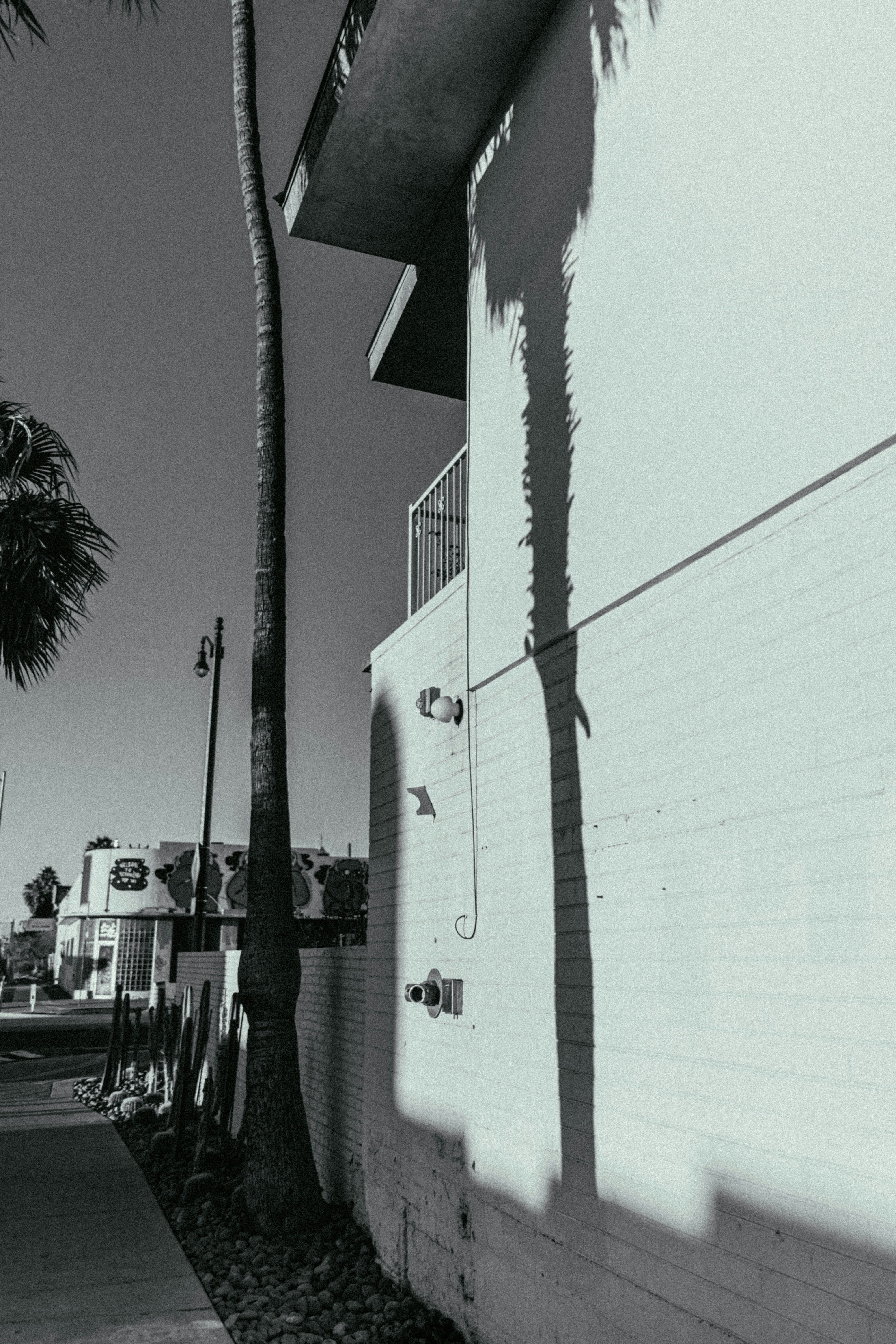 Photo by matthewpablico