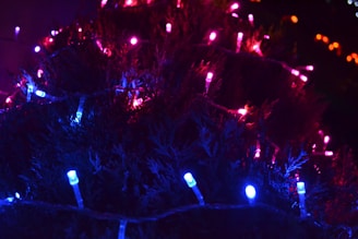 A vibrant display of fairy hair styles at a festive event.