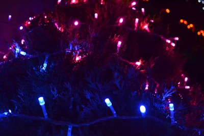 A vibrant display of fairy hair styles at a festive event.