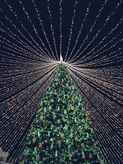 green and yellow christmas tree